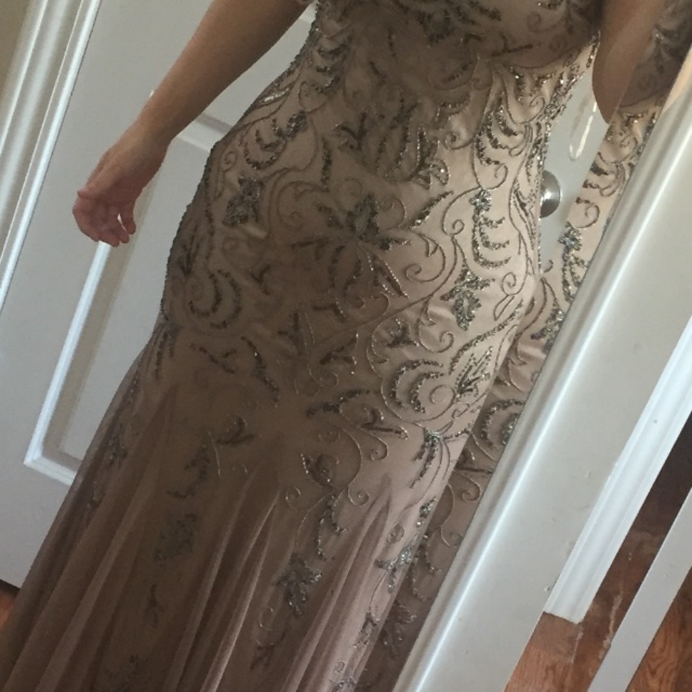Adrianna Papell gorgeous beaded gown.  Great deal!